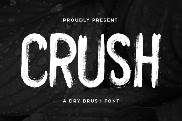 Crush: A Bold Display Font for Creative Product Design