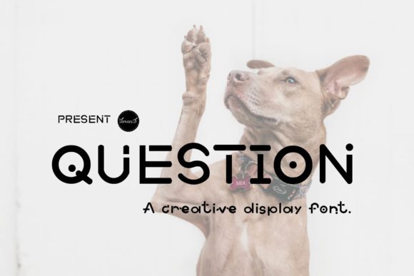 Question: A Playful Display Font for Creative Branding
